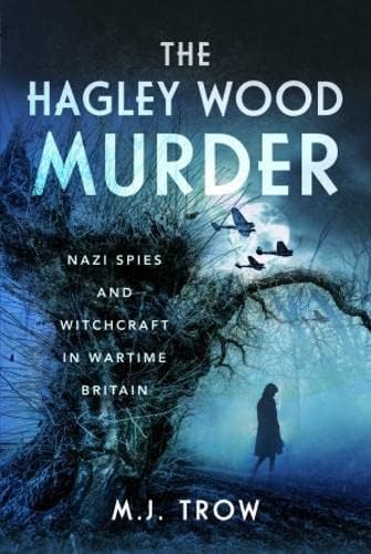Book cover: dark woods, lone figure, wartime planes, title text.