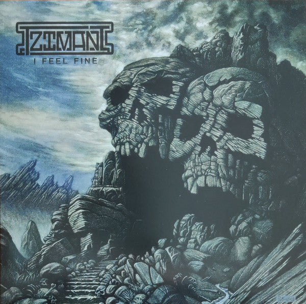 Album cover: a large stone skull face in a mountainous landscape.