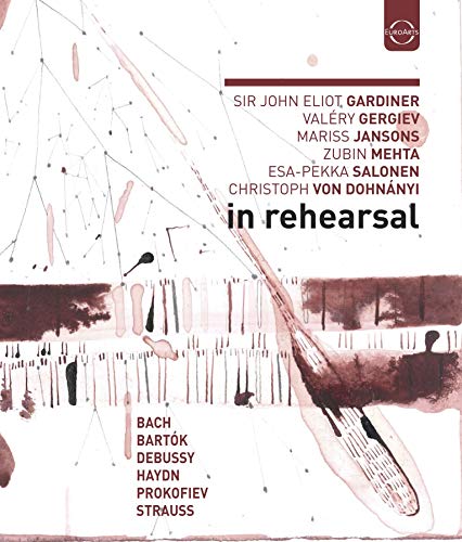 Blu-ray cover featuring abstract brushstrokes and conductor Valery Gergiev’s name.