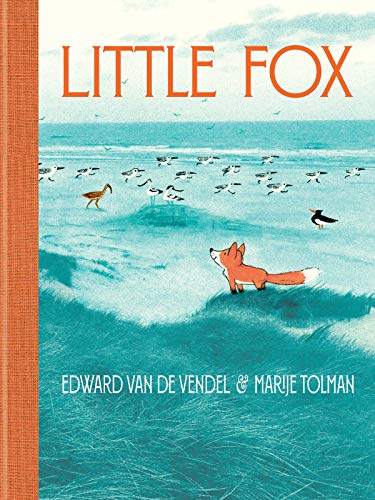 Book cover: orange title, fox on a blue wavy beach with birds.