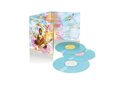 Buddha Bar vinyl record set with blue records and cover art.
