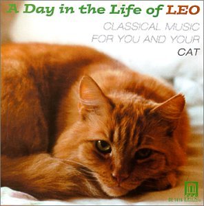 An orange cat lying down, looking at the camera, on a music CD cover.