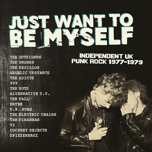 Vinyl cover featuring the title, a list of punk bands, and two people wearing jackets.