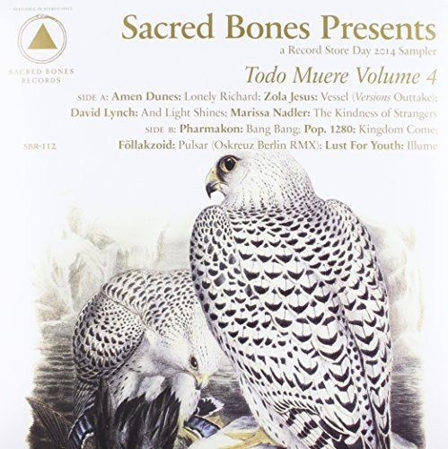 Vinyl record cover featuring a detailed illustration of two falcons.