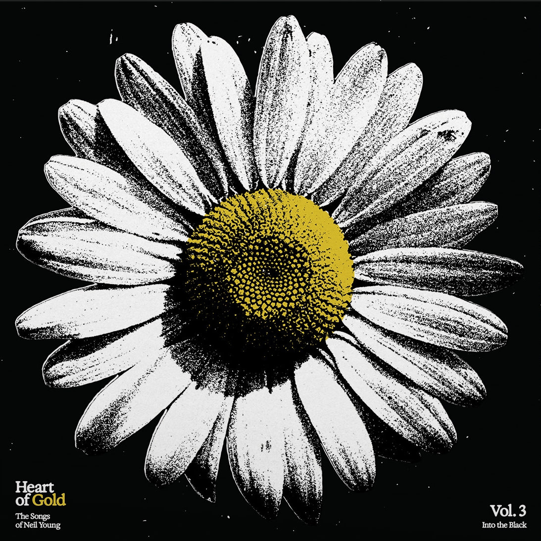 Black and white daisy with yellow center, album cover art.