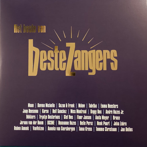 Vinyl record cover with gold text listing Dutch singers’ names.