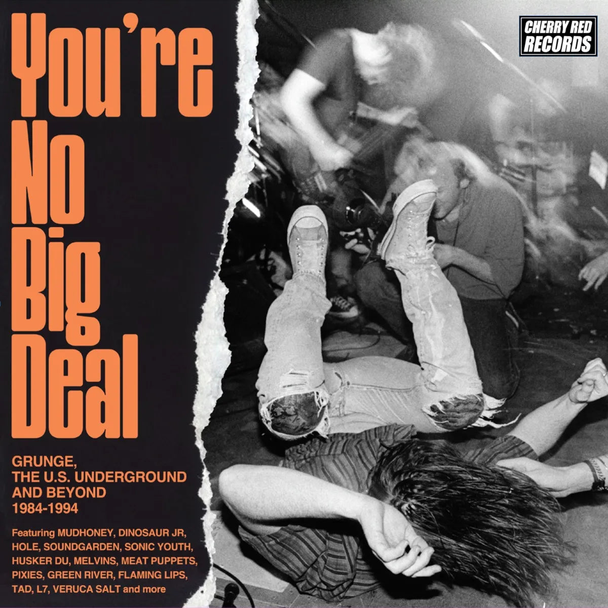 CD cover for "You're No Big Deal," featuring a concert crowd scene.