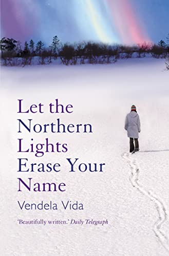 Book cover: person in snow under vibrant aurora borealis lights.