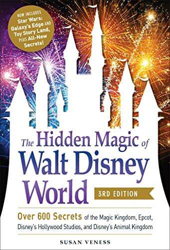 Book cover featuring Cinderella Castle silhouetted against colorful fireworks.