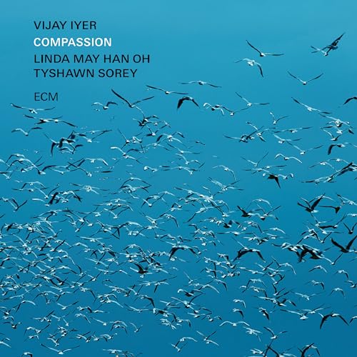 CD cover for “Compassion” by Vijay Iyer, featuring a flock of birds.