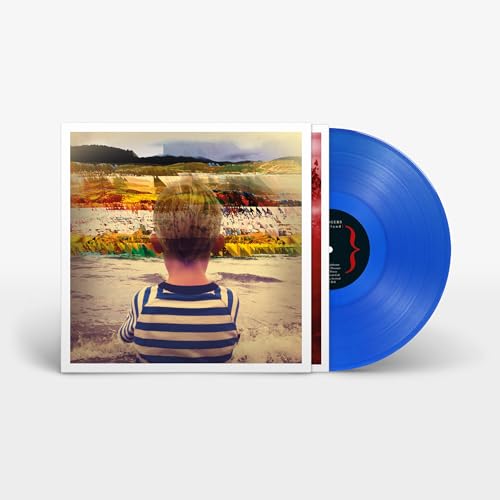 Vinyl record of "Awayland" by Villagers, featuring a boy’s back and landscape.