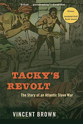 Book cover illustration showing armed figures in a historical scene with orange text.