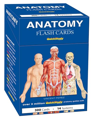 Blue box of Anatomy Flash Cards showing three human figures with different anatomical layers.