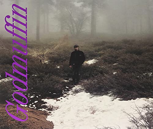 Album cover: man in a misty, snowy forest with purple text.