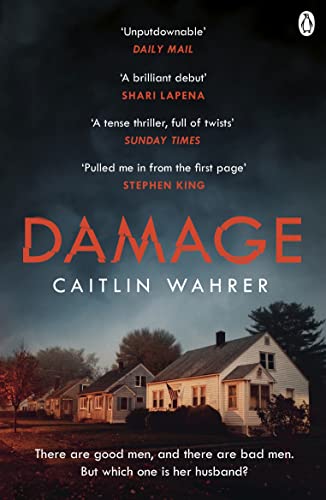 Book cover: "Damage" by Caitlin Wahrer, featuring a house in a stormy landscape.