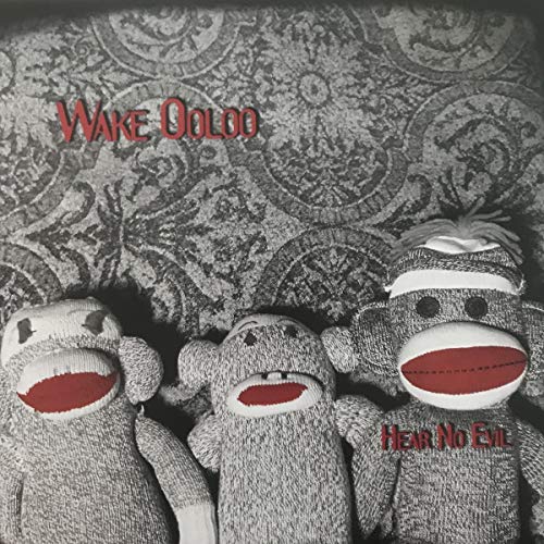 Vinyl record cover with sock monkeys and red text reading “Wake Ooloo”.