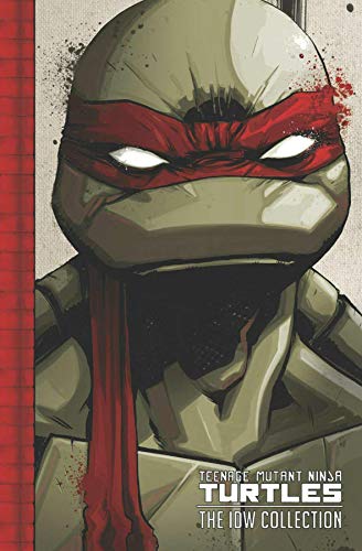 Close-up of Raphael, a Teenage Mutant Ninja Turtle, on a book cover.
