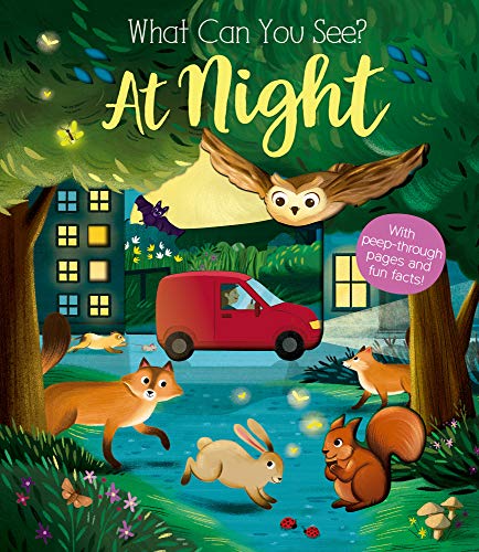 Book cover depicting nocturnal animals and a nighttime town scene.