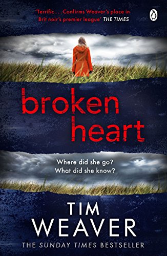Book cover: woman in red coat, stormy sky, title "broken heart".