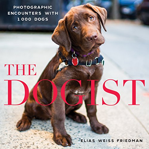 Chocolate Labrador puppy on book cover titled "The Dogist.