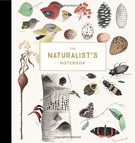 Book cover featuring watercolor illustrations of birds, insects, plants, and eggs on cream background.