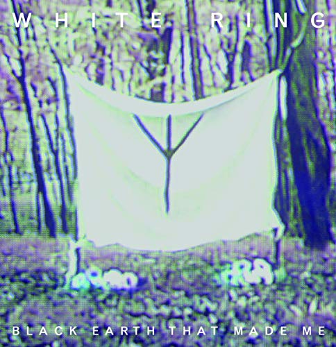 Vinyl album cover with a white, triangular shape against a distorted forest.