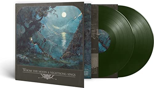 Vinyl record with forest landscape cover art and dark green discs.