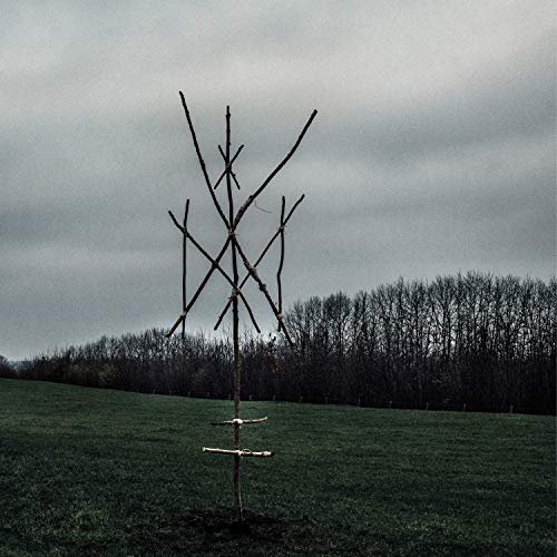 "Album cover with a bare tree in a field, cloudy sky, and text."