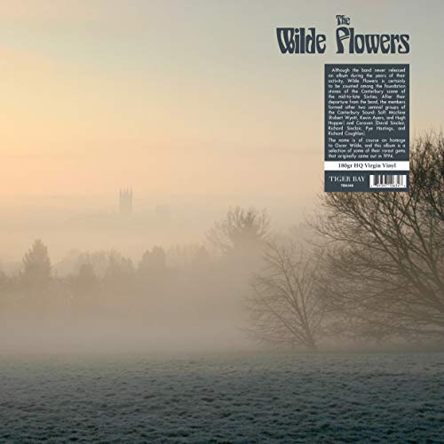 Vinyl record cover: misty landscape with silhouetted trees and a castle.