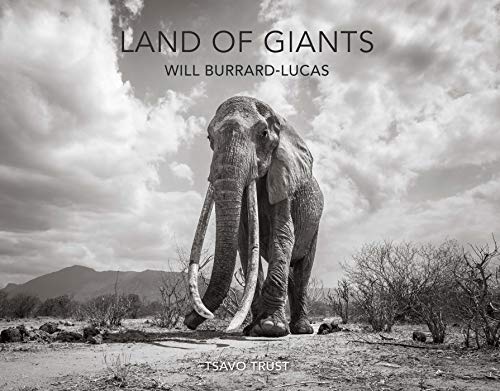 Black and white elephant book cover with large tusks and cloudy sky.