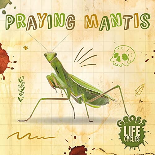 Green praying mantis illustration with skull and leaf details, book cover.