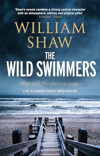 Book cover for “The Wild Swimmers” with a beach and wooden steps.