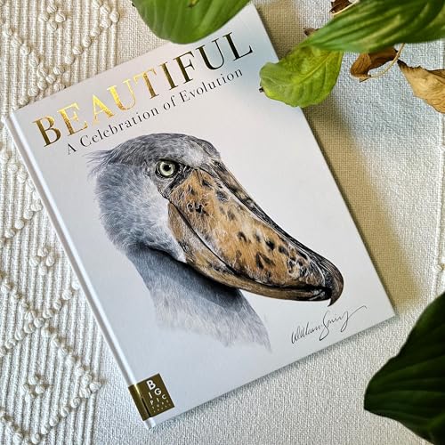 Book cover featuring a dodo bird illustration and gold lettering.