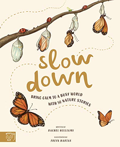 Book cover with butterflies, chrysalises, and the title “slow down.”