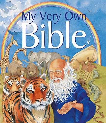 Children’s Bible cover with Noah, animals, and a rainbow illustration.