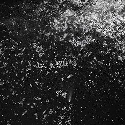 Black and white abstract album cover for "Wilt" with text.