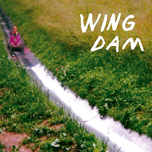 Album cover: person in pink jacket sliding down a grassy hill with "Wing Dam" text.