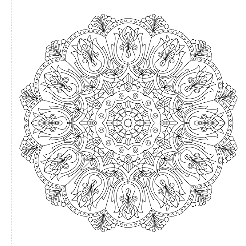 Intricate black and white mandala design from an adult coloring book.