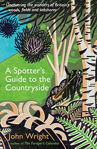 Book cover illustration of two people walking through a forest with birch trees.