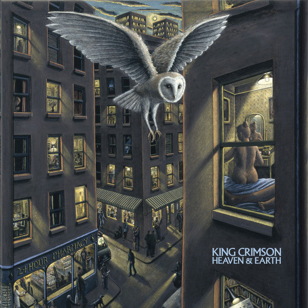 Barn owl flying over a city street with a lit window scene.