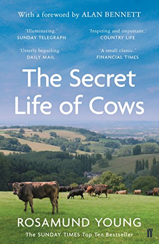 Book cover: cows in a green field with rolling hills backdrop.