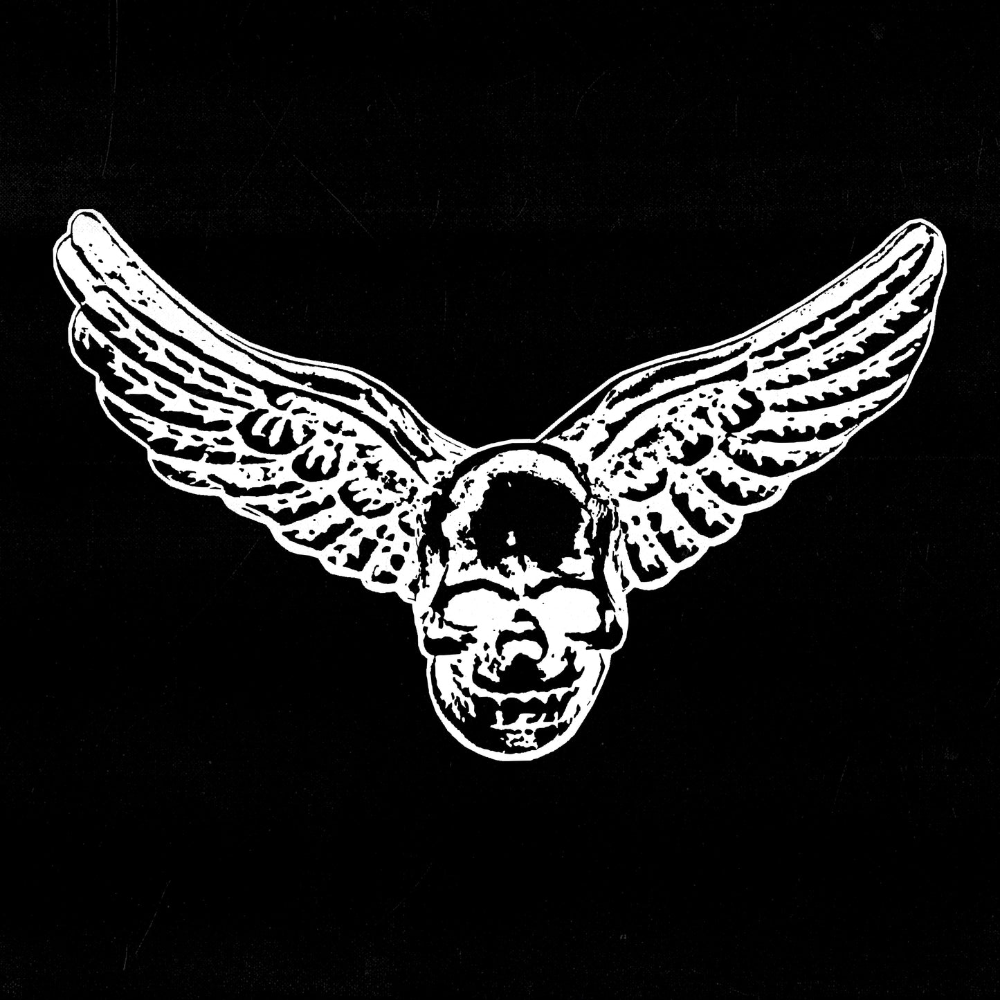 Black and white image of a skull with spread wings.
