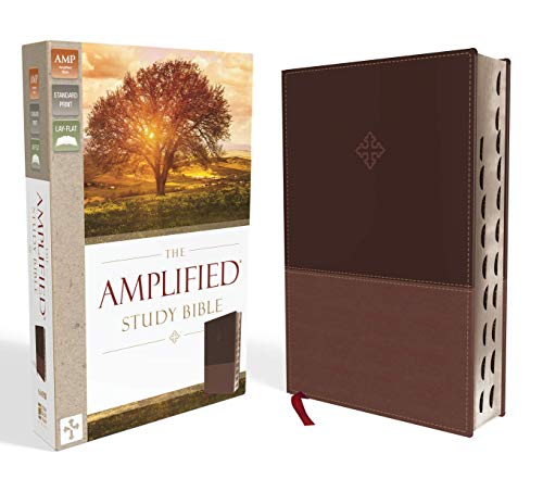 Brown imitation leather Amplified Study Bible with tree-covered box.