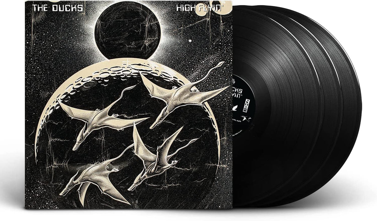 Vinyl record with cover art depicting stylized ducks and a dark sky.