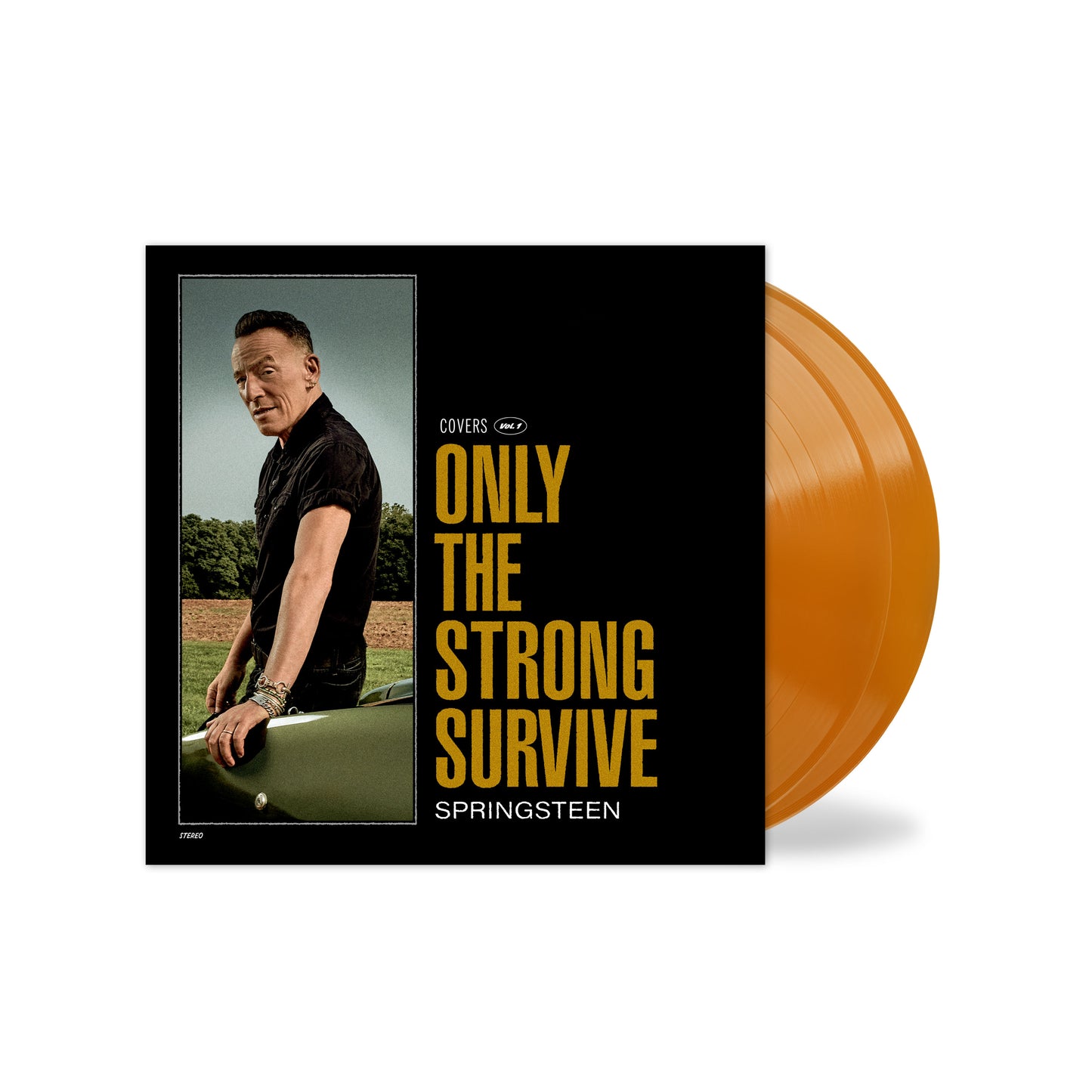 Bruce Springsteen album cover with orange vinyl record shown beside it.