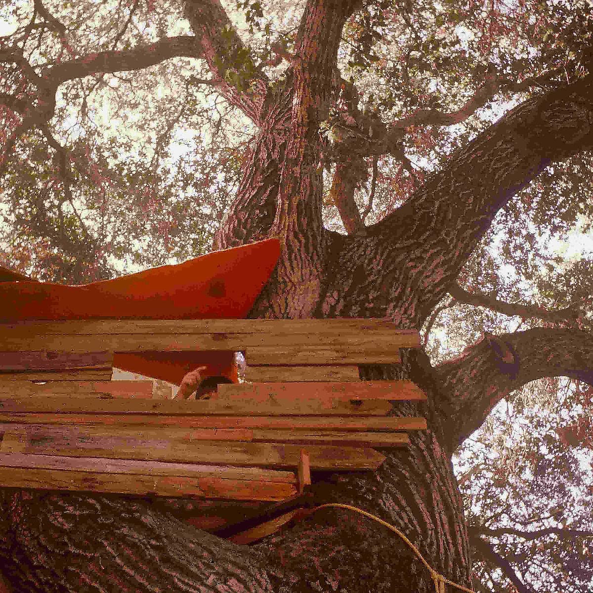 Red canoe on a wooden platform beneath a large tree.