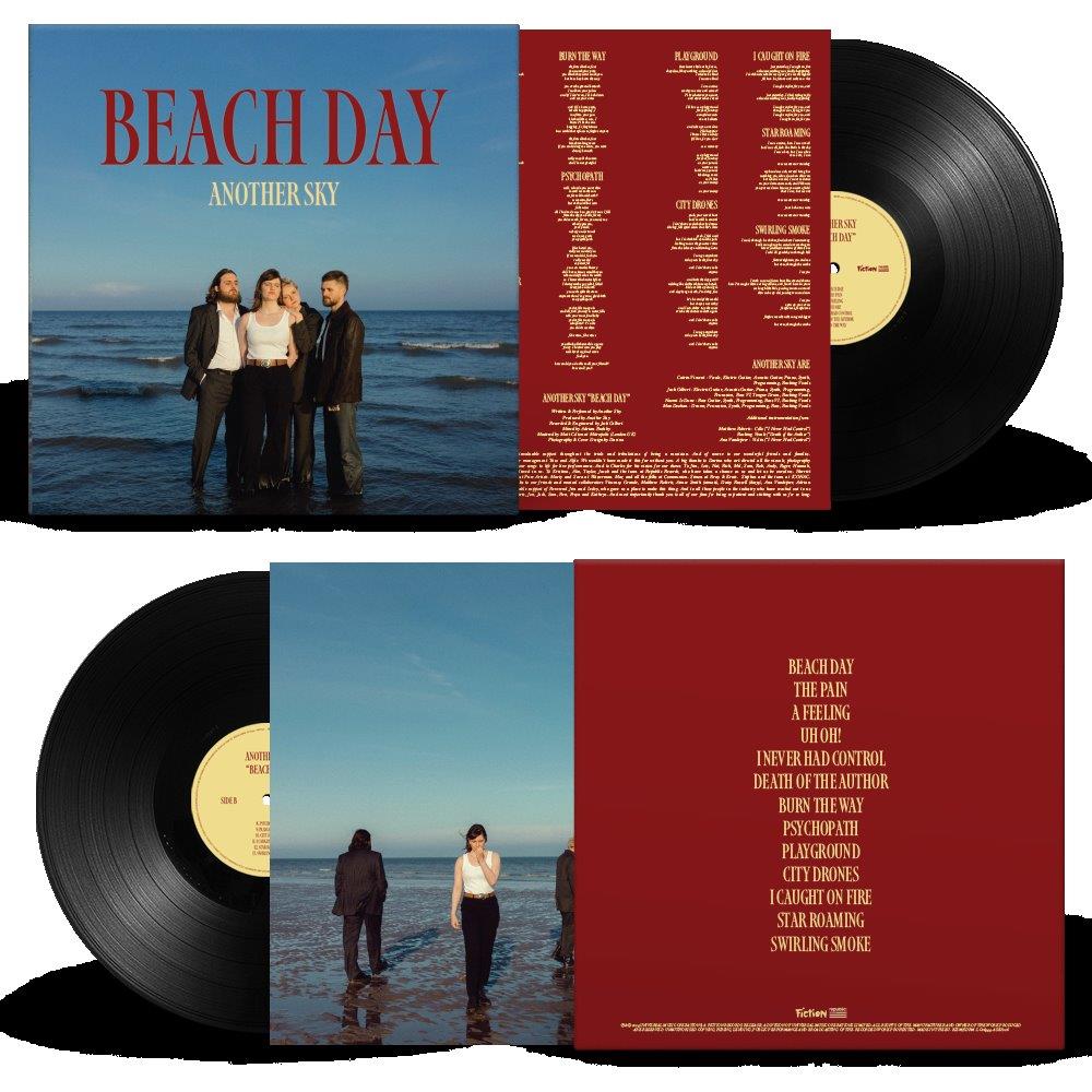 Another Sky - Beach Day" vinyl record with a beach scene cover.