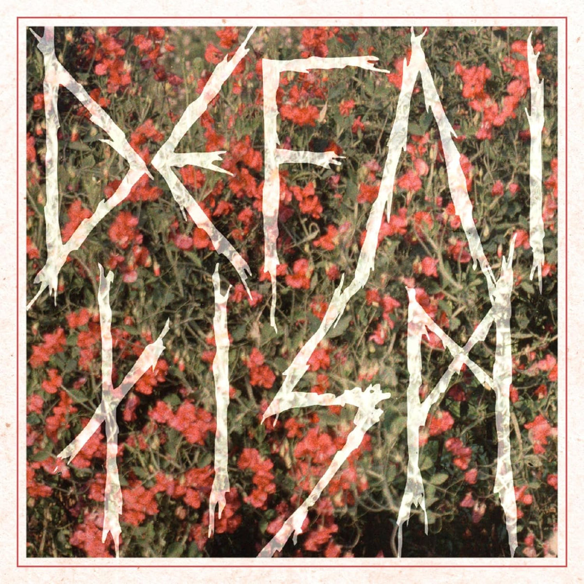 CD cover with white, jagged text over a red flower background.