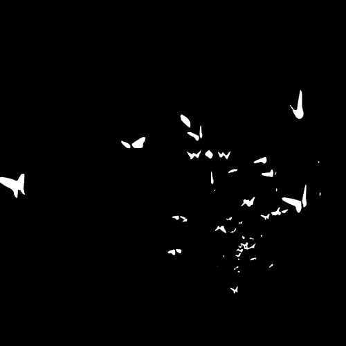 Black background with abstract white shapes resembling birds in flight.