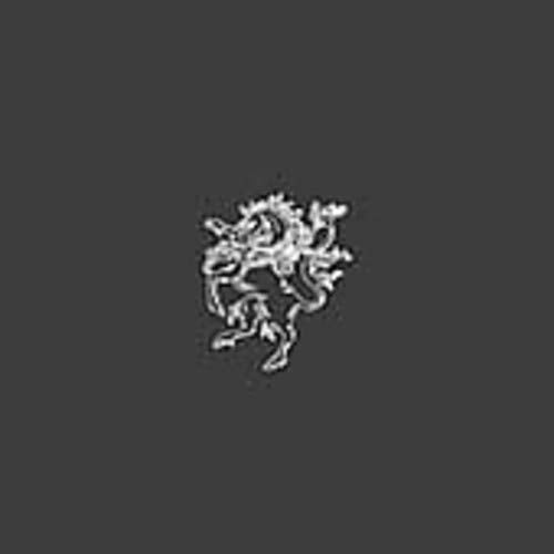Black background with a white, abstract, swirling line drawing.